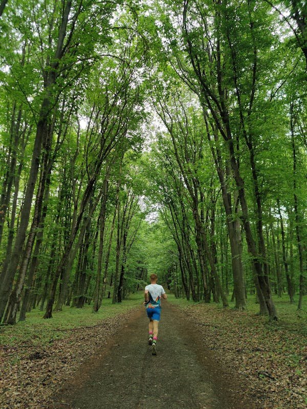 Course à pied : trouvez votre liberté dans la nature